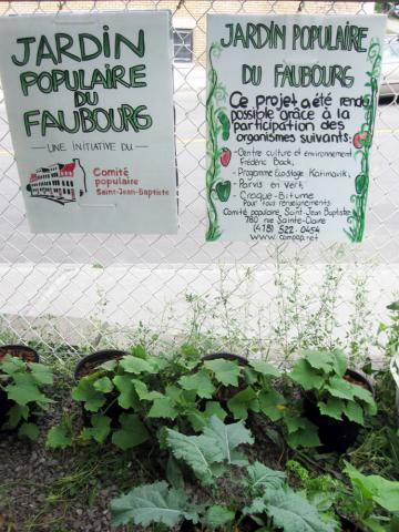 Souvenirs du premier été du Jardin populaire du Faubourg.  Photos : Macarena Silva
